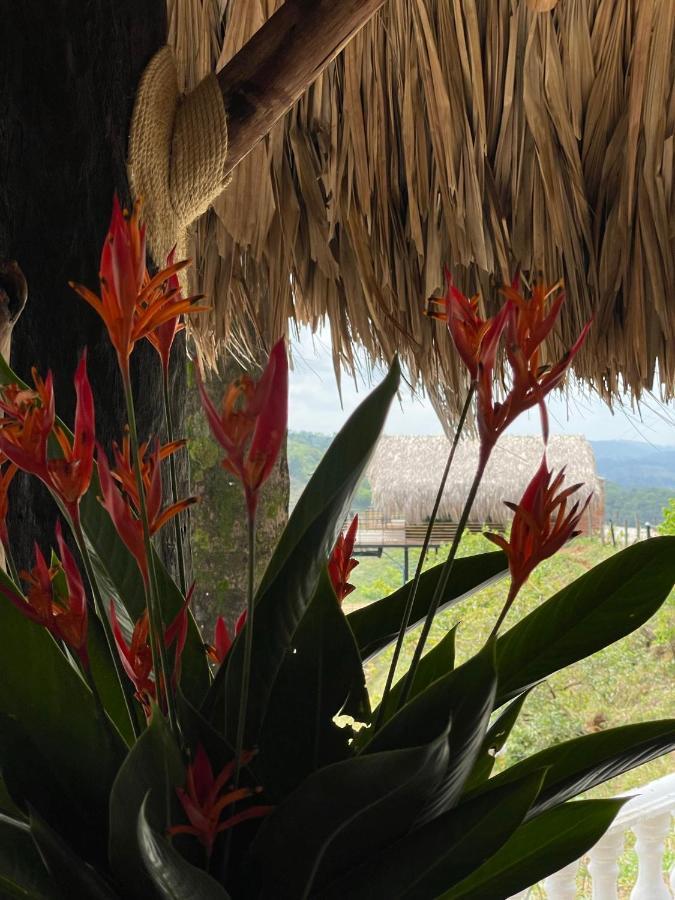 La Manola Finca Hotel Doradal Extérieur photo